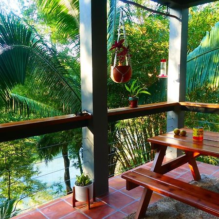 Riverhill Hideaway Monkey Fall 外观 照片
