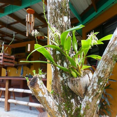 Riverhill Hideaway Monkey Fall 外观 照片