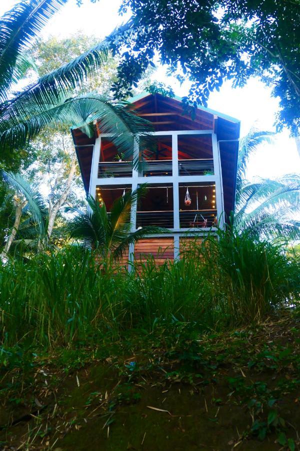Riverhill Hideaway Monkey Fall 外观 照片