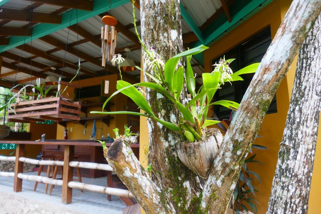 Riverhill Hideaway Monkey Fall 外观 照片
