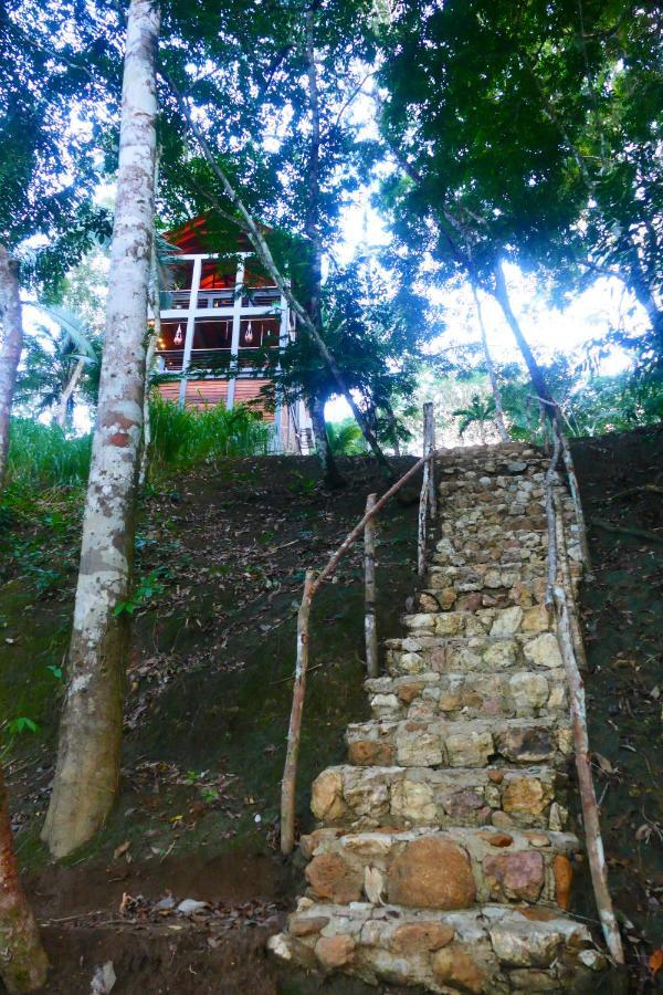 Riverhill Hideaway Monkey Fall 外观 照片