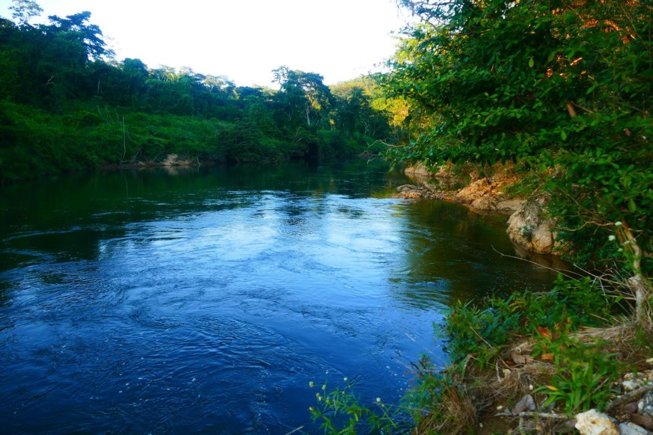 Riverhill Hideaway Monkey Fall 外观 照片
